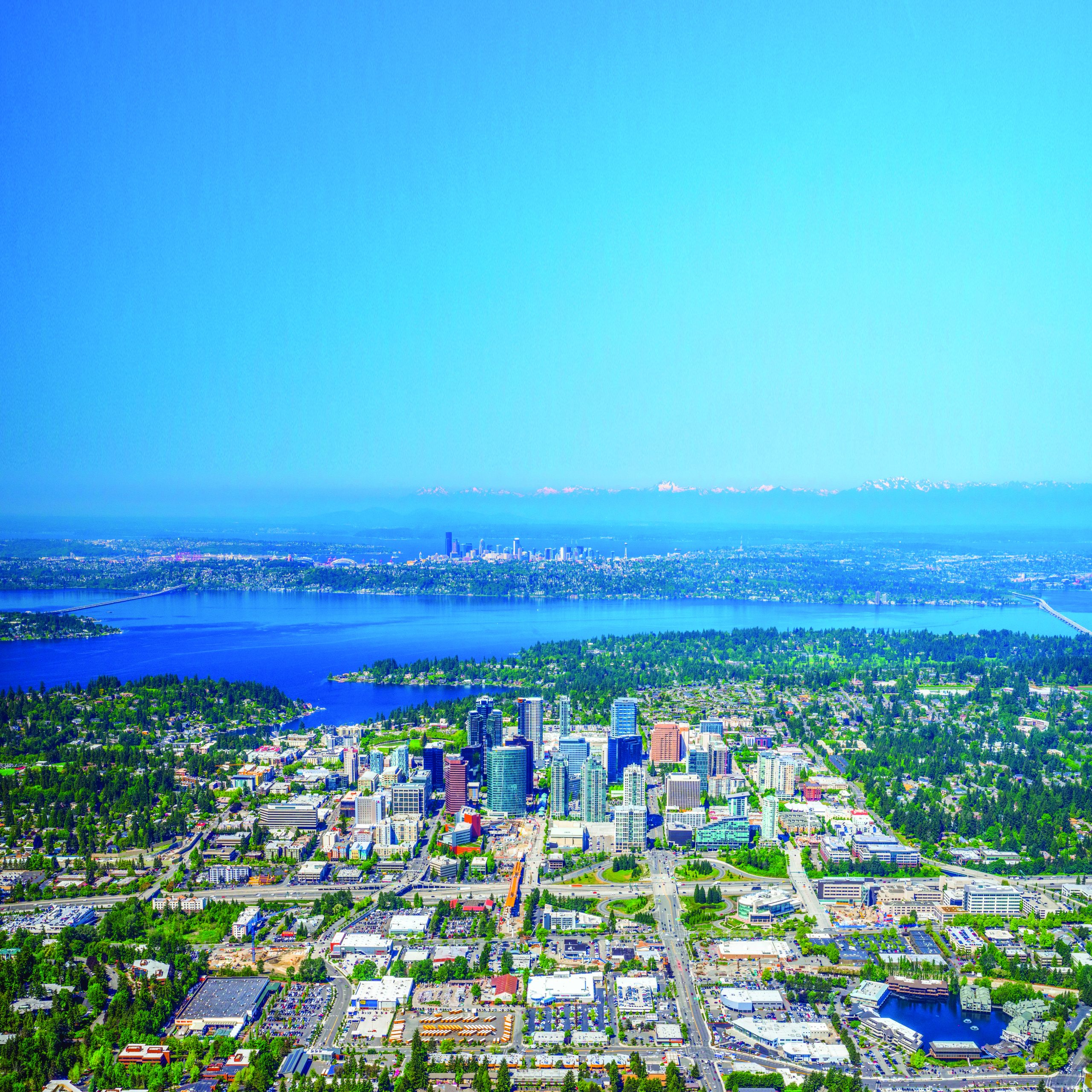 shutterstock_1229128171a